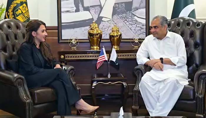 Naqvi Reassures US Envoy on Security Ahead of High-Stakes Iran Talks