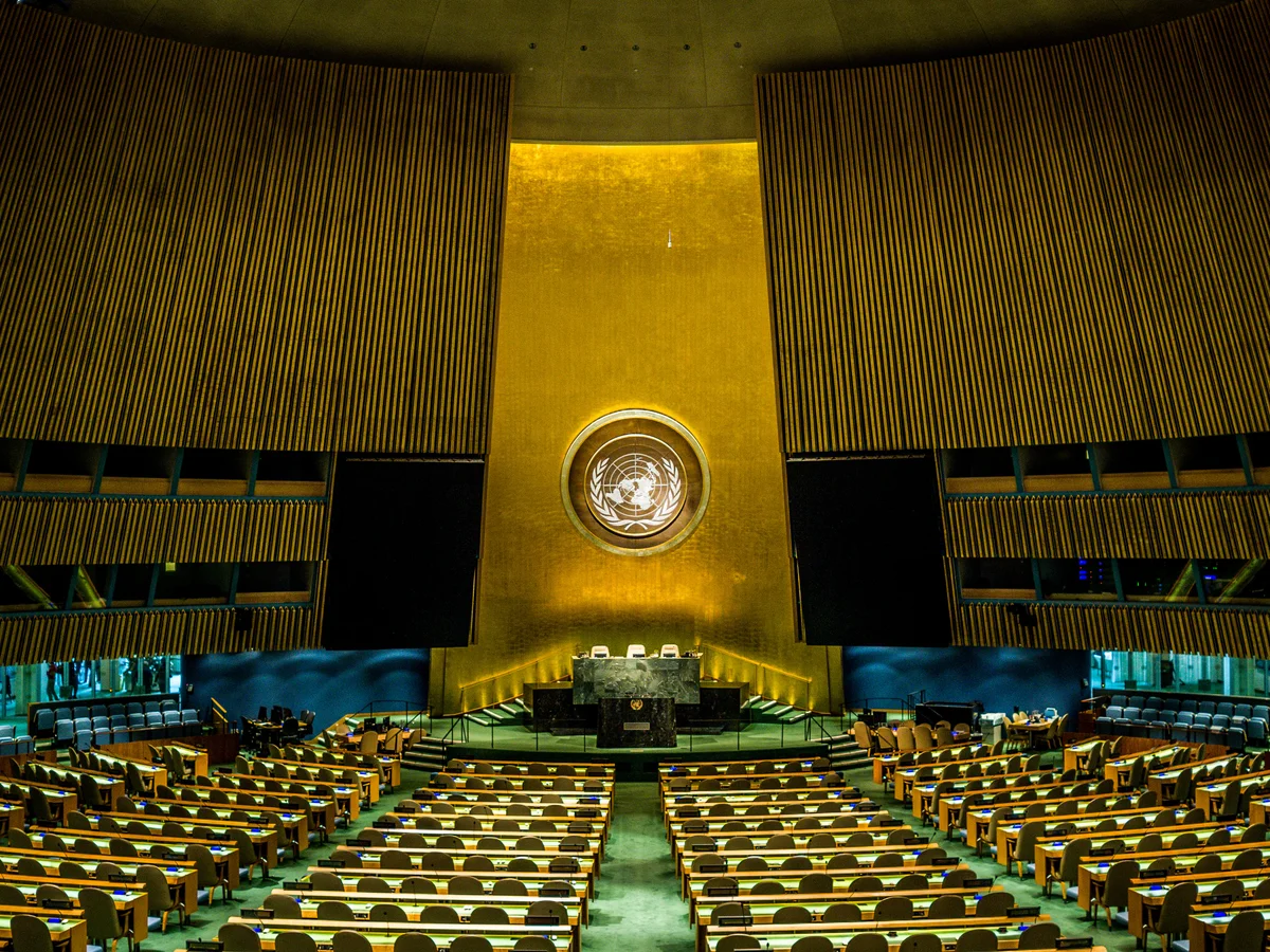 The Case India Brought: From Security Council Referral to the Plebiscite Pledge